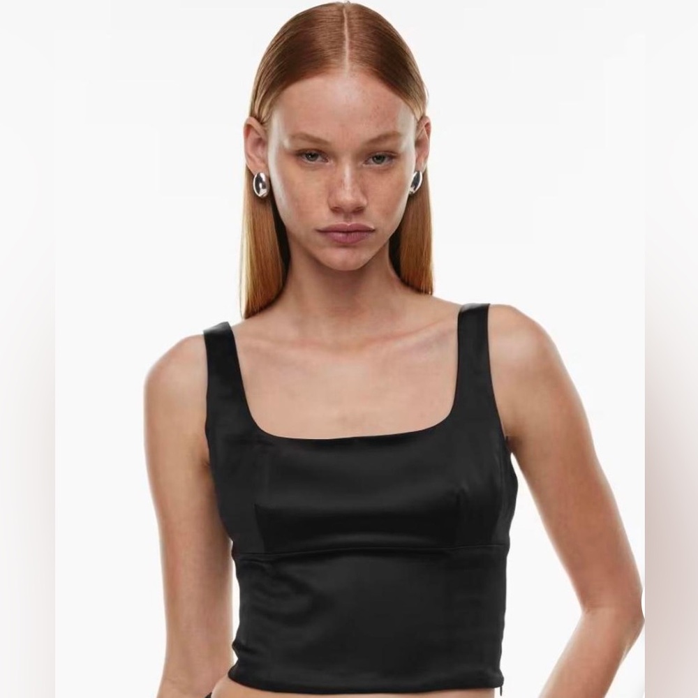 Aritzia Wilfred Shine Bustier